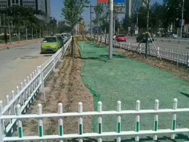 马路护栏施工